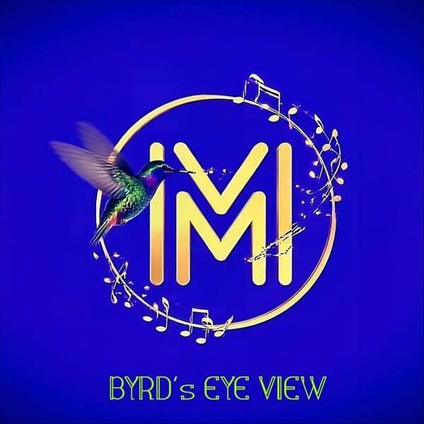Cover art for Byrd's Eye View